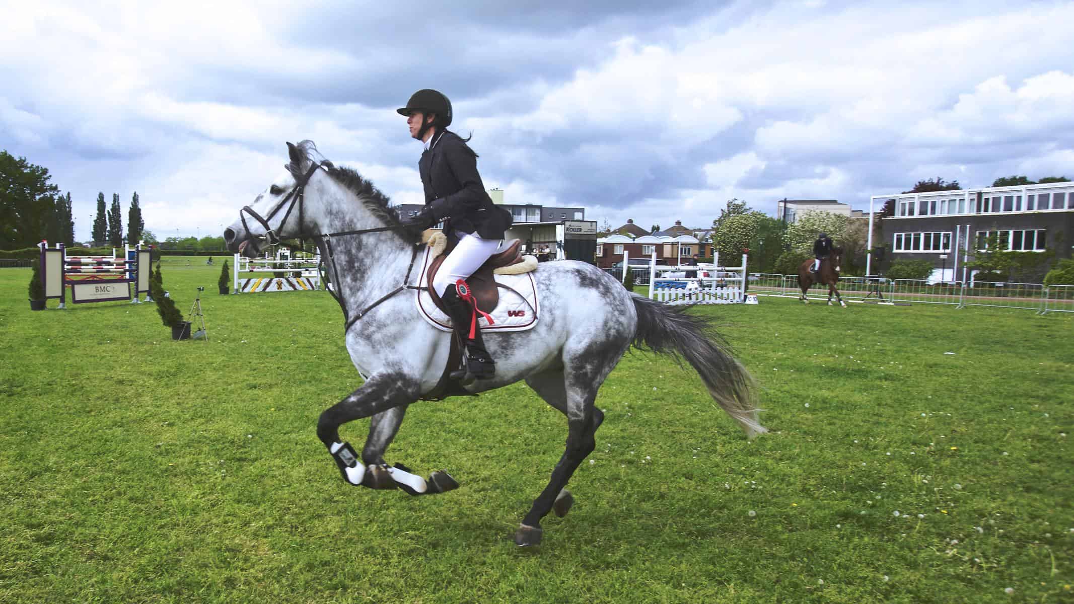 Horse Names