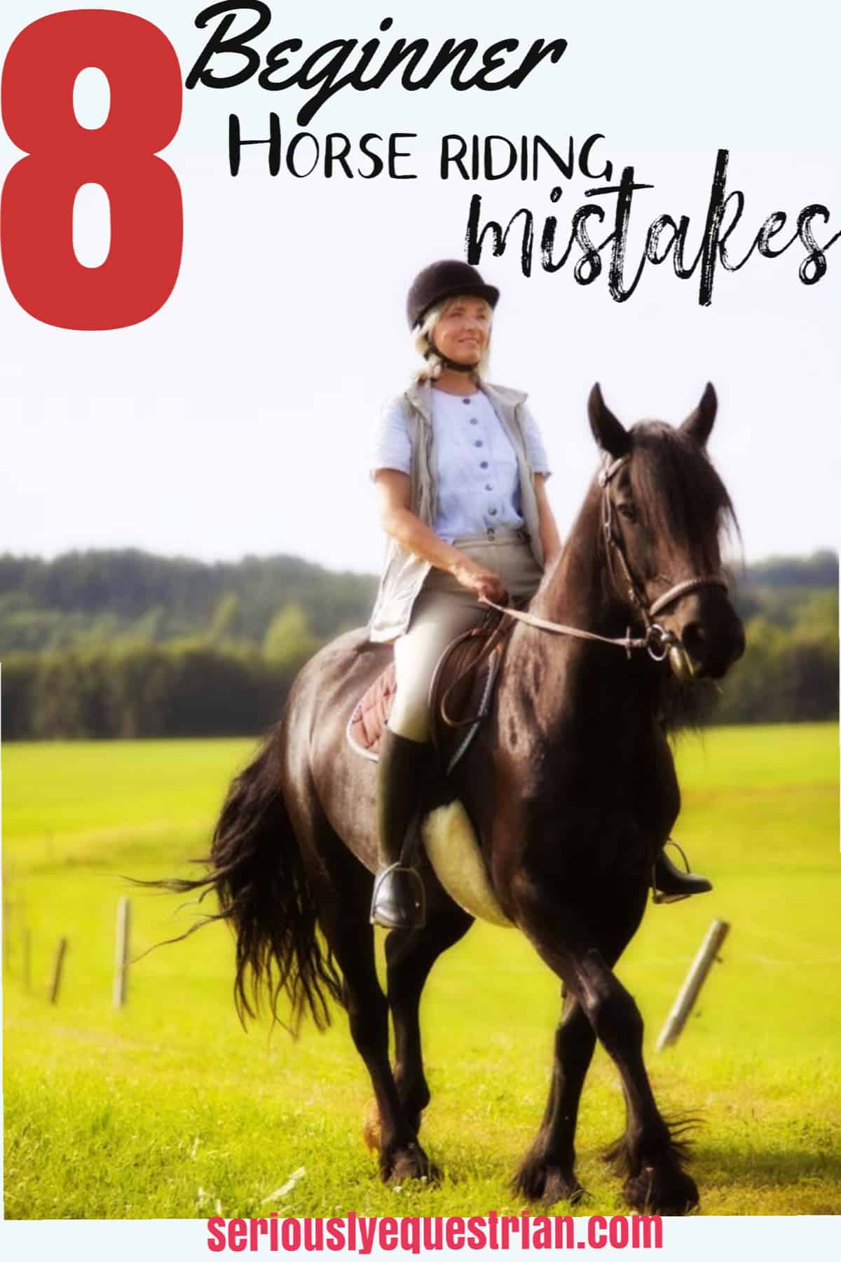 Beginner Horse