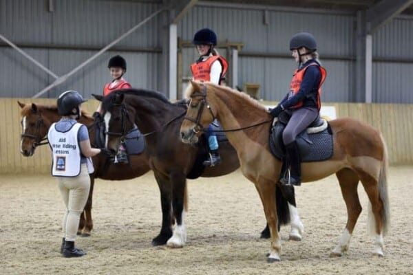 Horse Riding Beginners