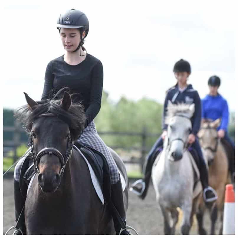 Horse riding beginners