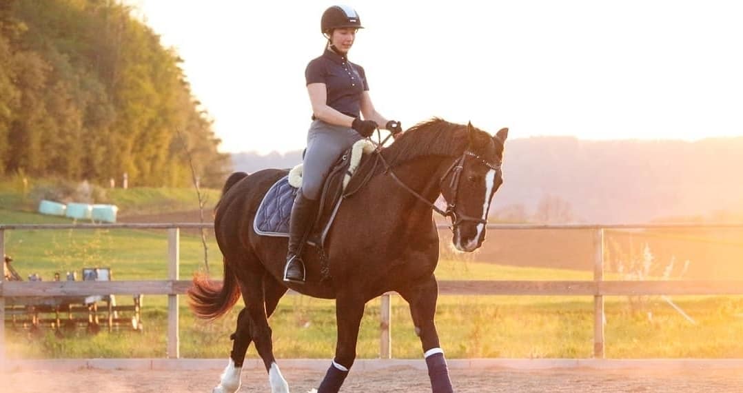 Horse seat