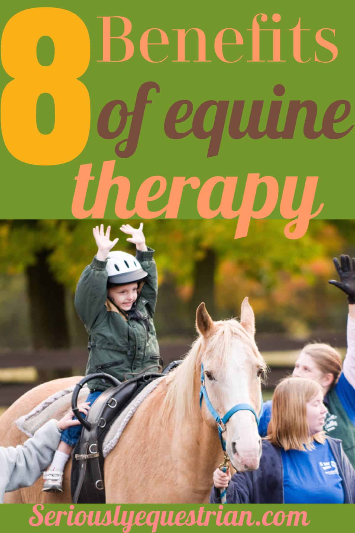 Equine Therapy