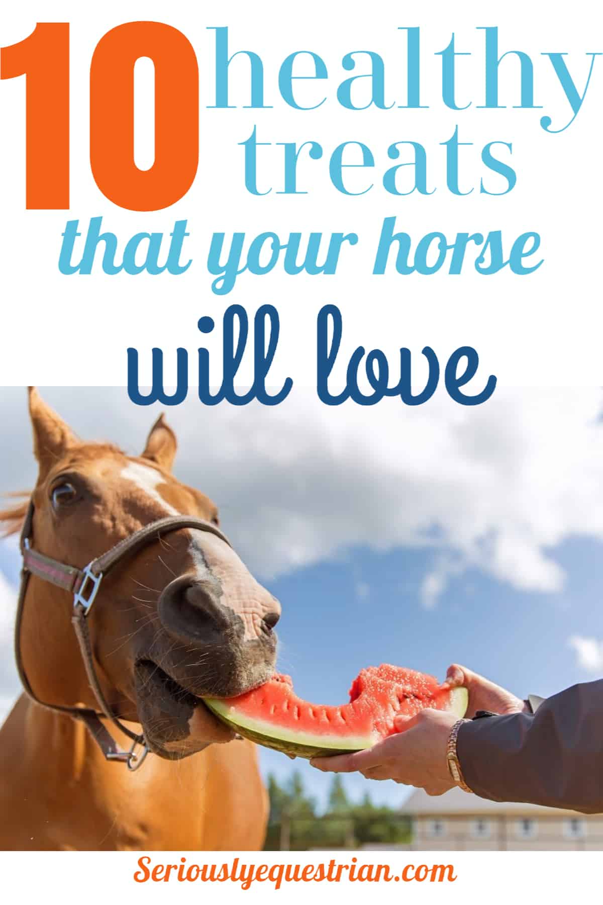 Healthy Horse Treats