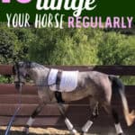 Lunge Horse
