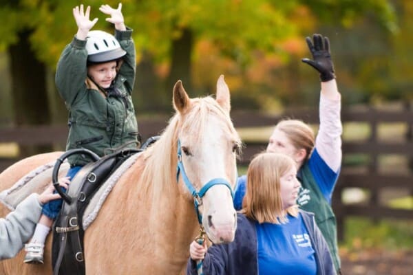 Equine therapy
