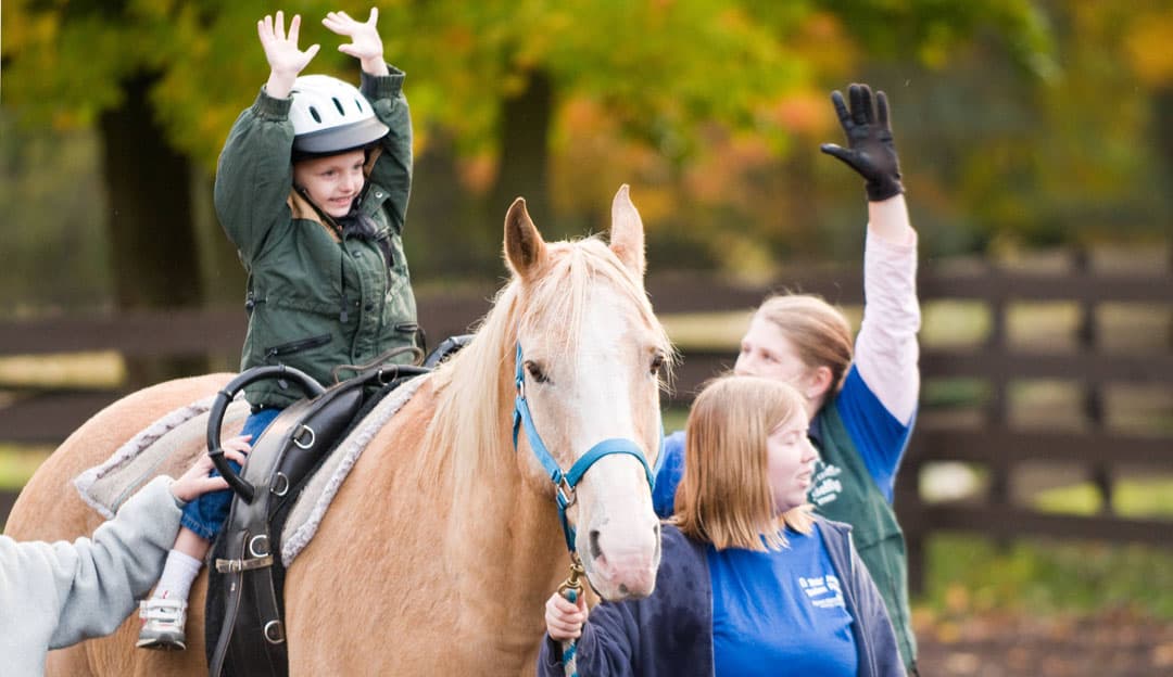Equine therapy