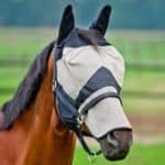 horse flymask