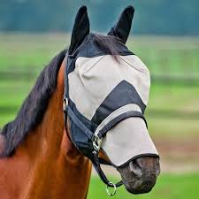 horse flymask