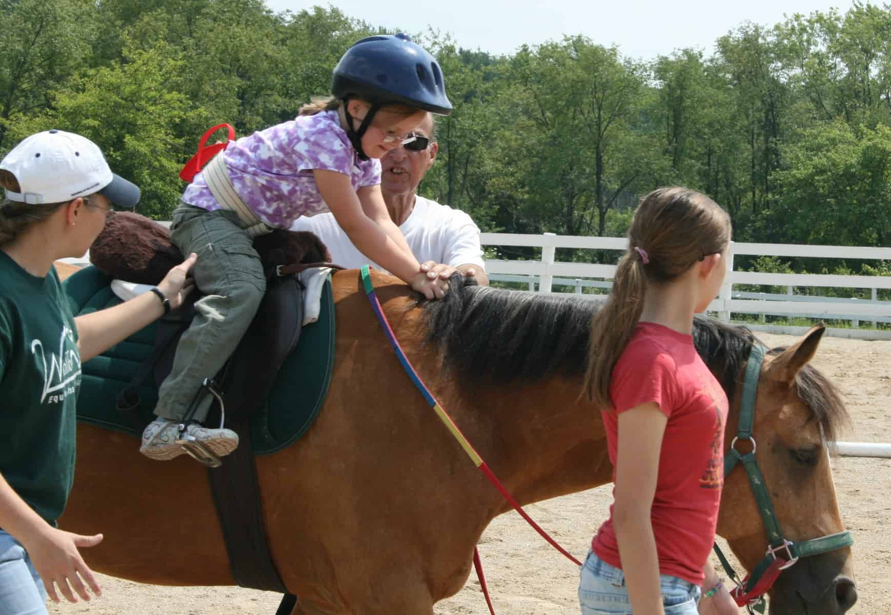 equine therapy 2
