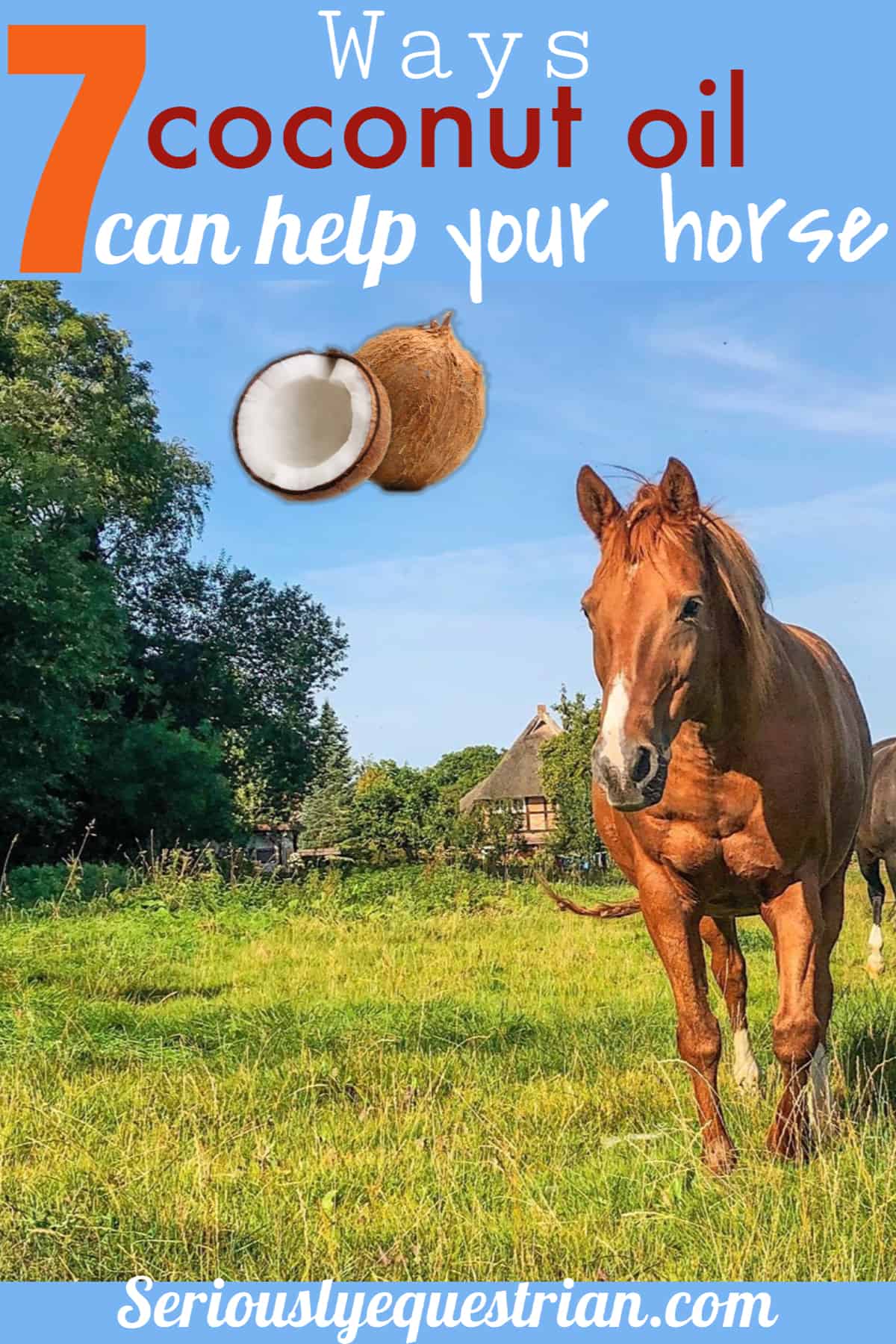 Coconut oil