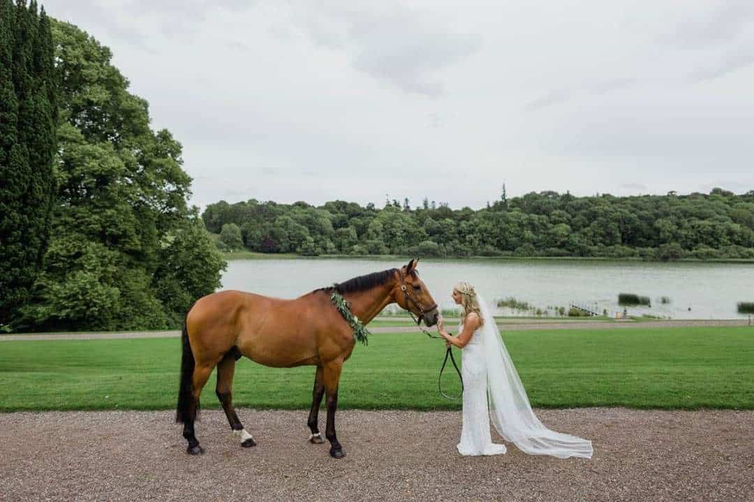 horse wedding