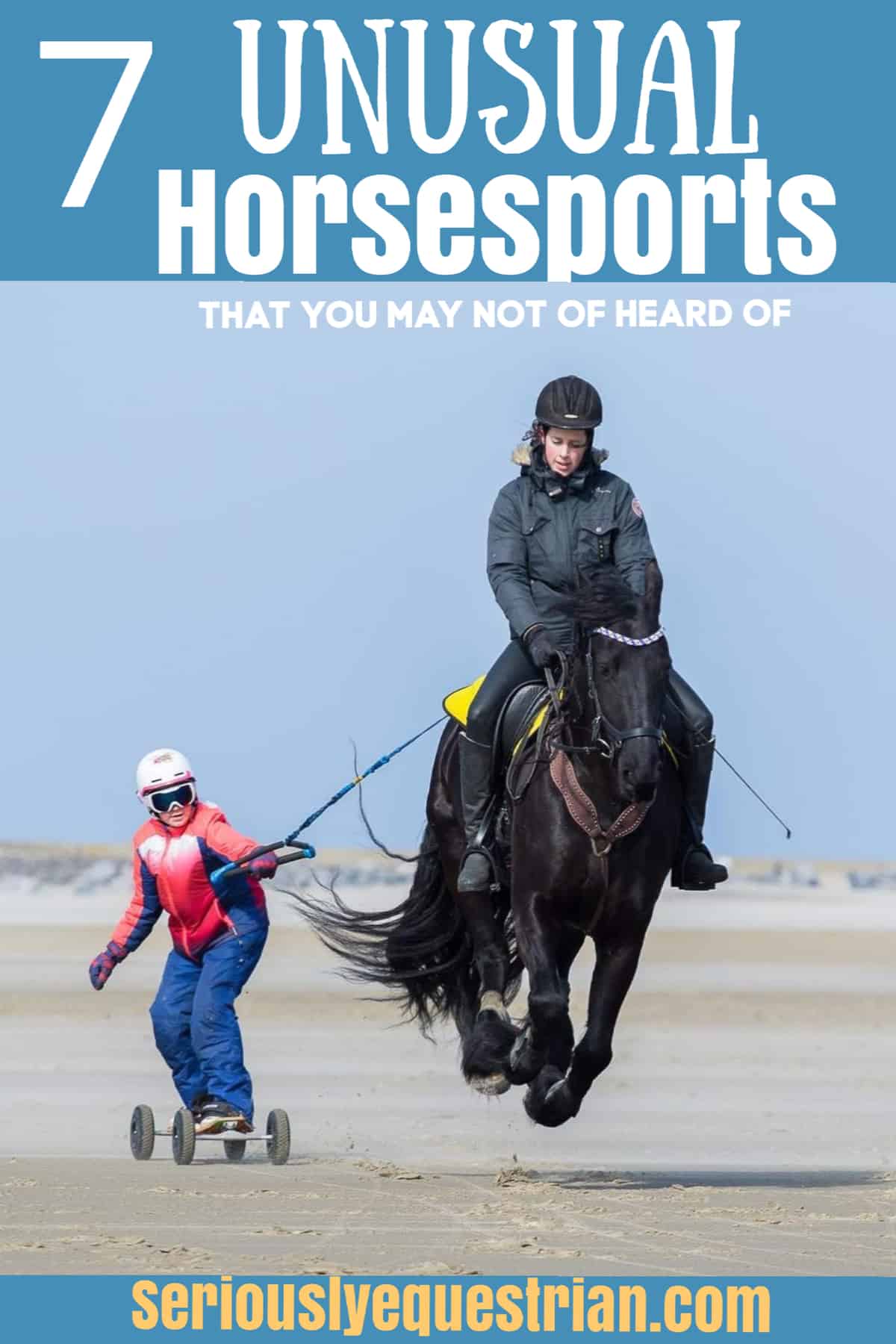 horsesports