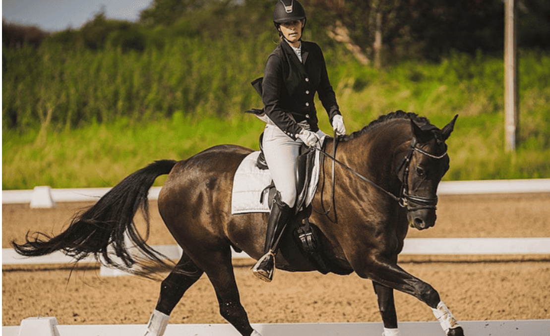 dressage