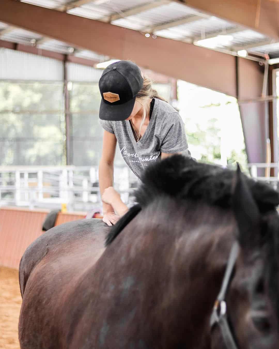 Horse Chiro