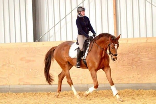 Sitting Trot2