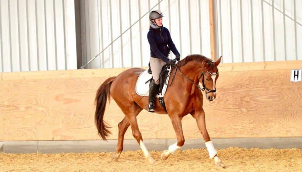 Sitting Trot2