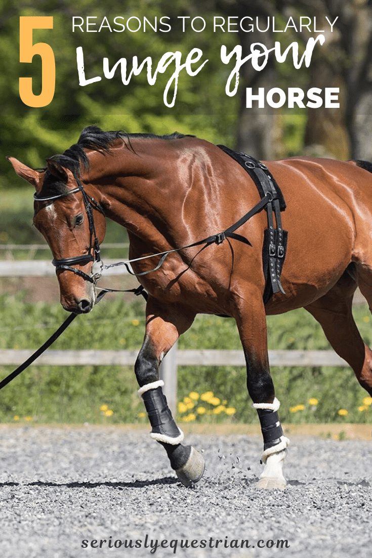 lunging (2)