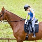 no-stirrups-2