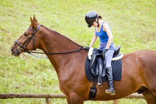 no-stirrups-2