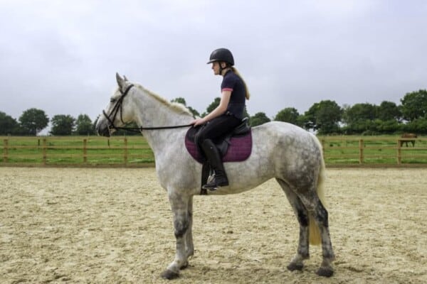 Horse riding bad habits
