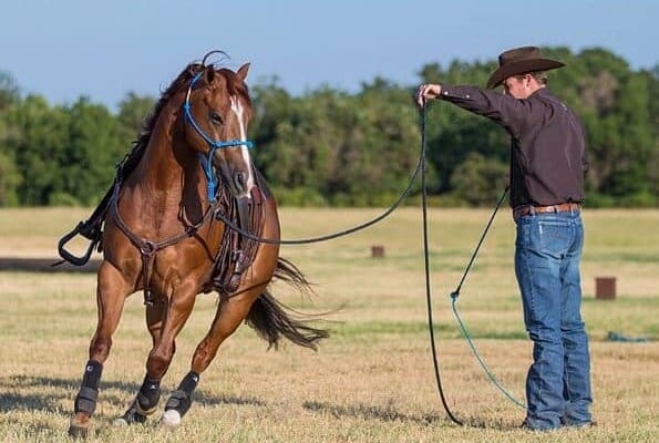 Horse Breaking1