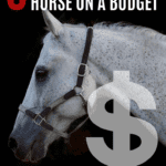afford Horse 2