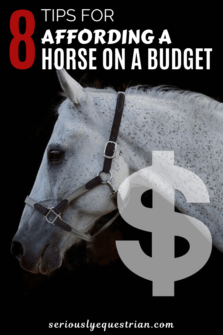 afford Horse 2