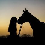 Teach Horse How to Kiss