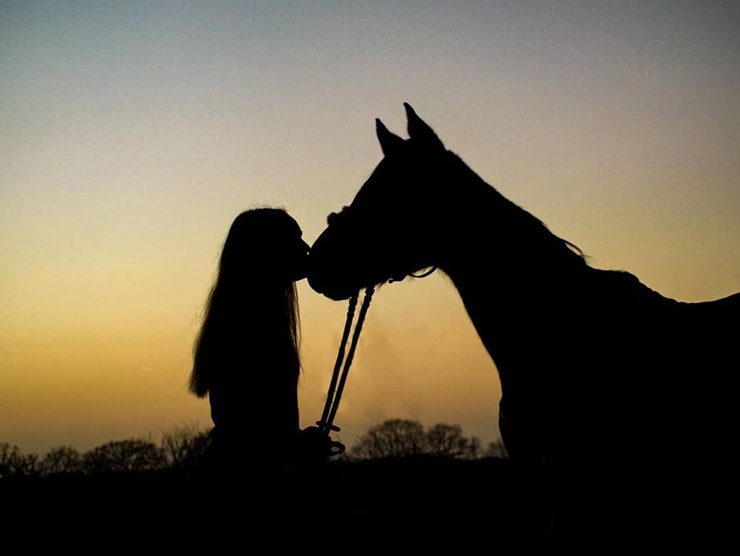 Teach Horse How to Kiss