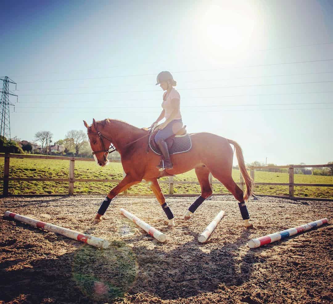 6 Ways to Mentally Stimulate your Horse