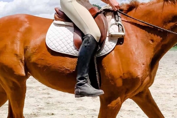 No stirrups