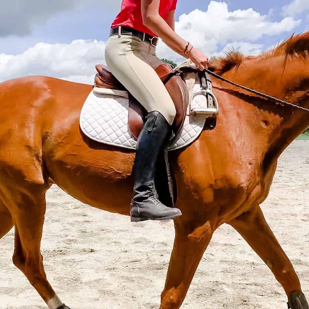 No stirrups