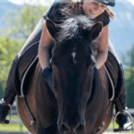 Horse riding health benefits