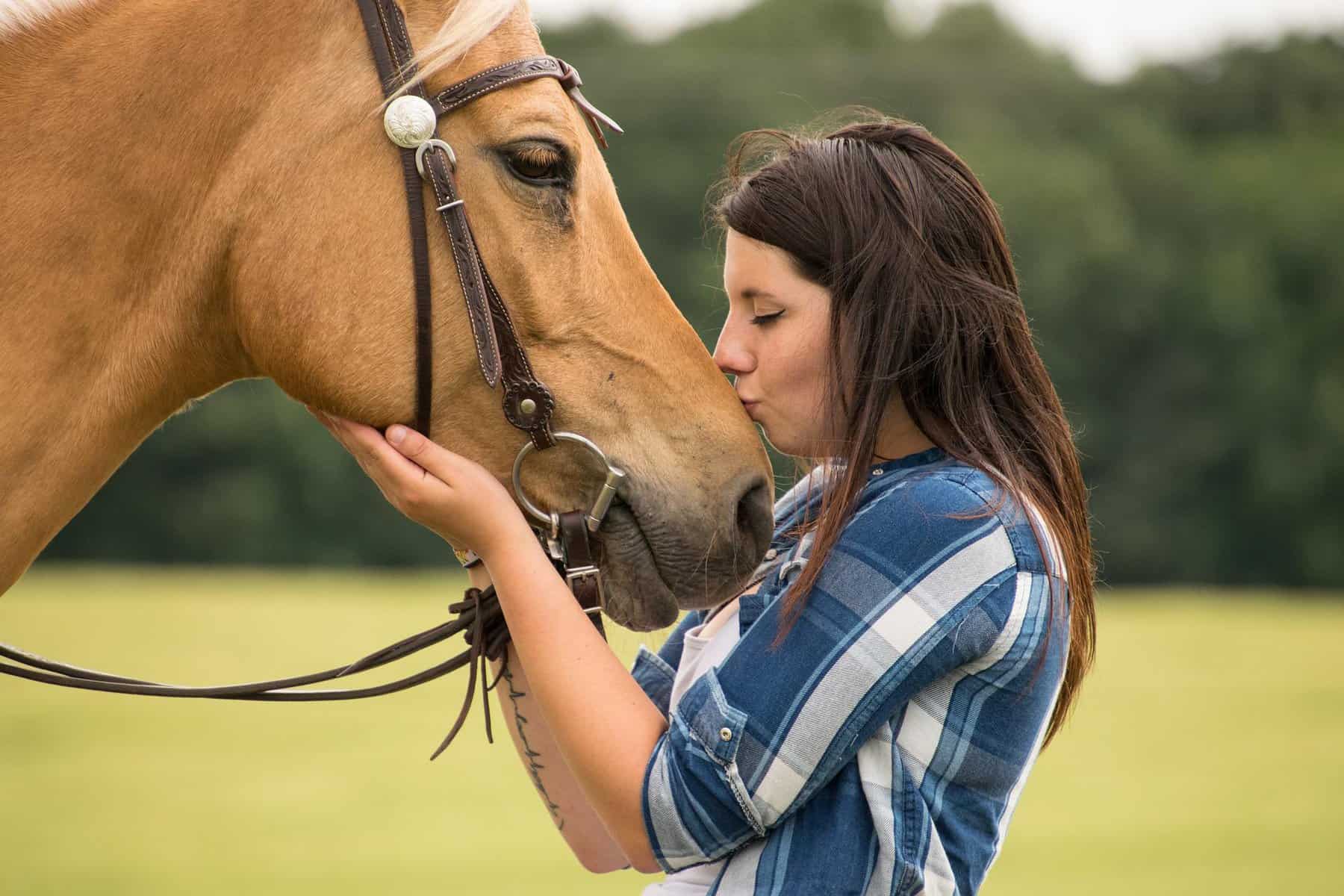 Palomino Horse Care