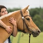 Palomino Personality