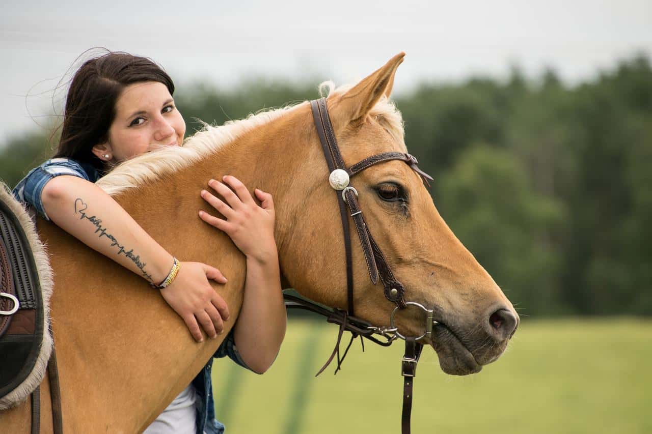 Palomino Personality