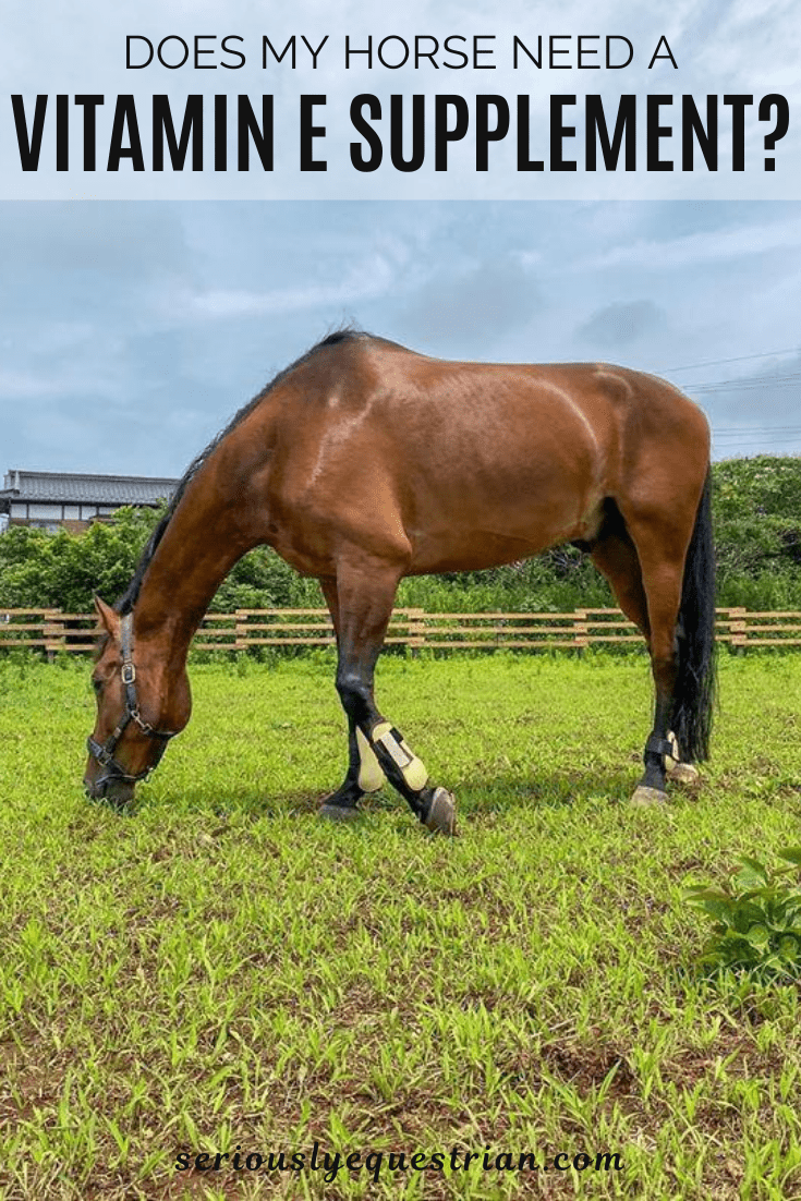 Vitamin E supplement Horse