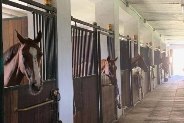 barn safety