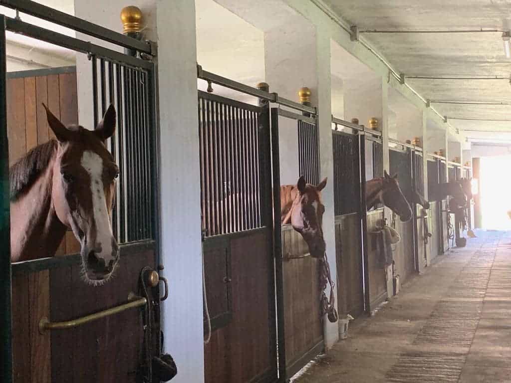 barn safety