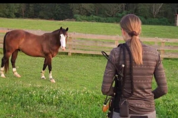 How Catch Hard to Catch Horse