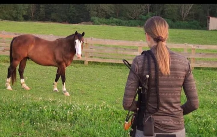 How Catch Hard to Catch Horse