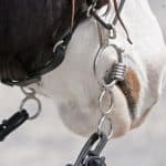 Horse Bits