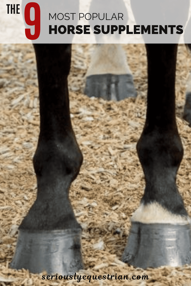 seriouslyequestrian_supplements