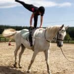 vaulting1