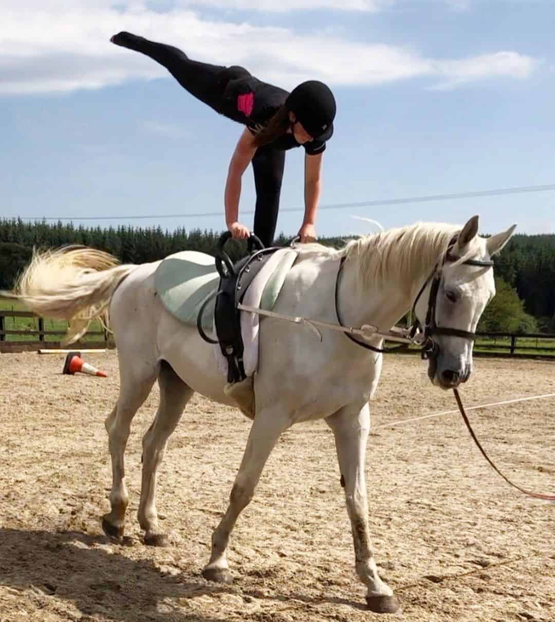 vaulting1