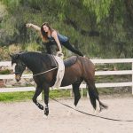 Horse Vaulting