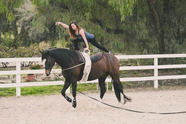 Horse Vaulting