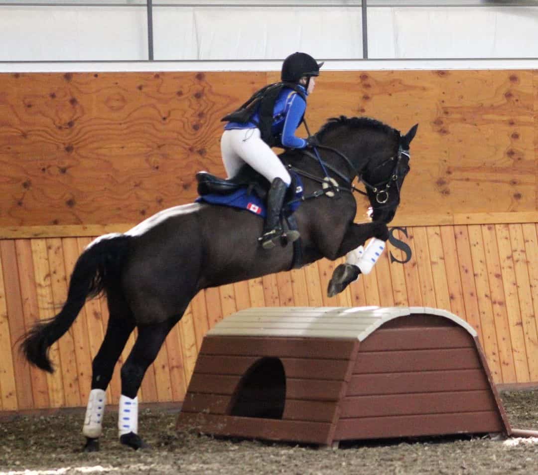 Back protector Eventing