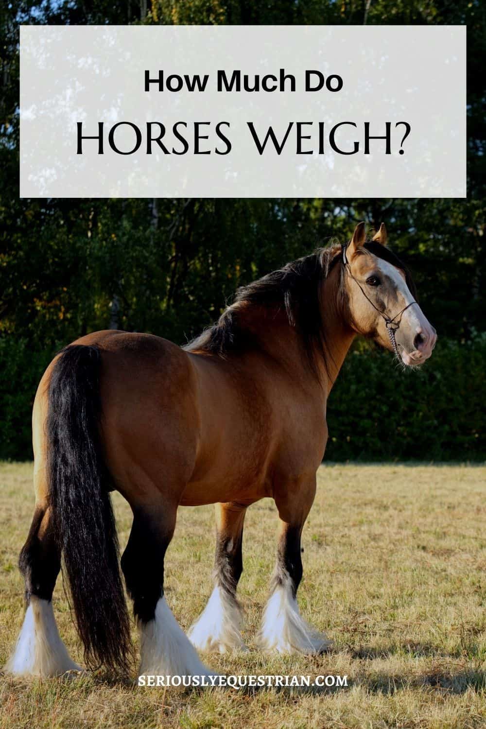 Horse Weight Pin