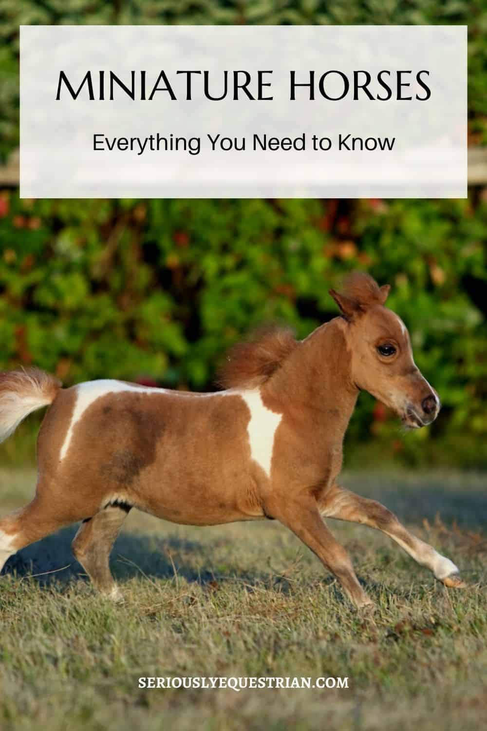 Miniature Horses Pin